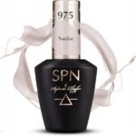Tom Ford Traceless Soft Matte Podkład Odcień Champagne 30 ml